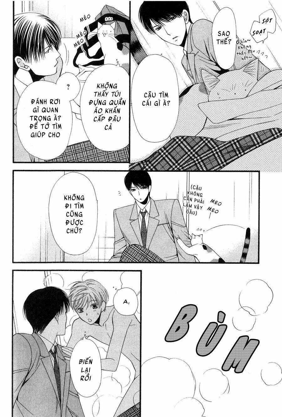 Neko Neko Honey Chapter 12 trang 25