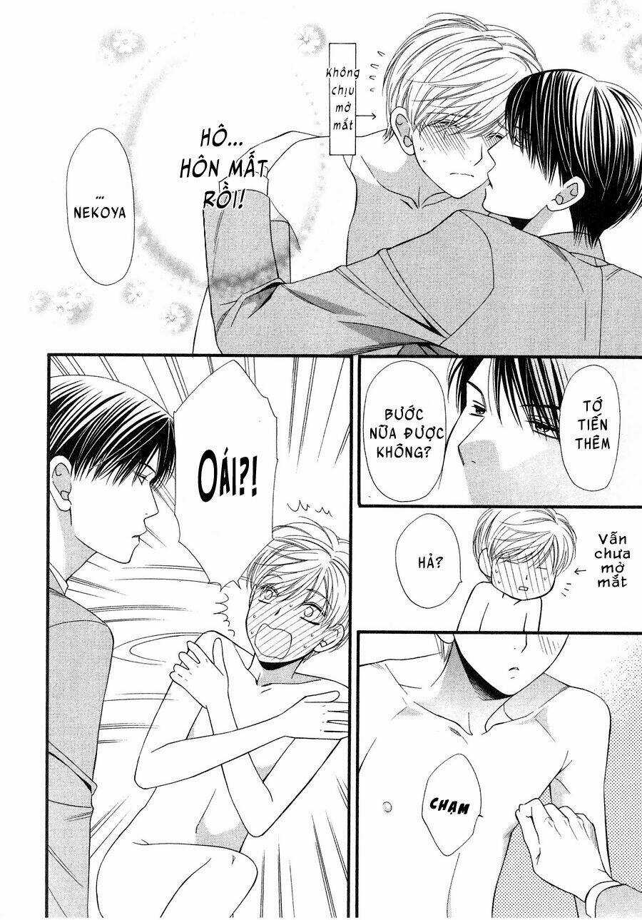 Neko Neko Honey Chapter 12 trang 27