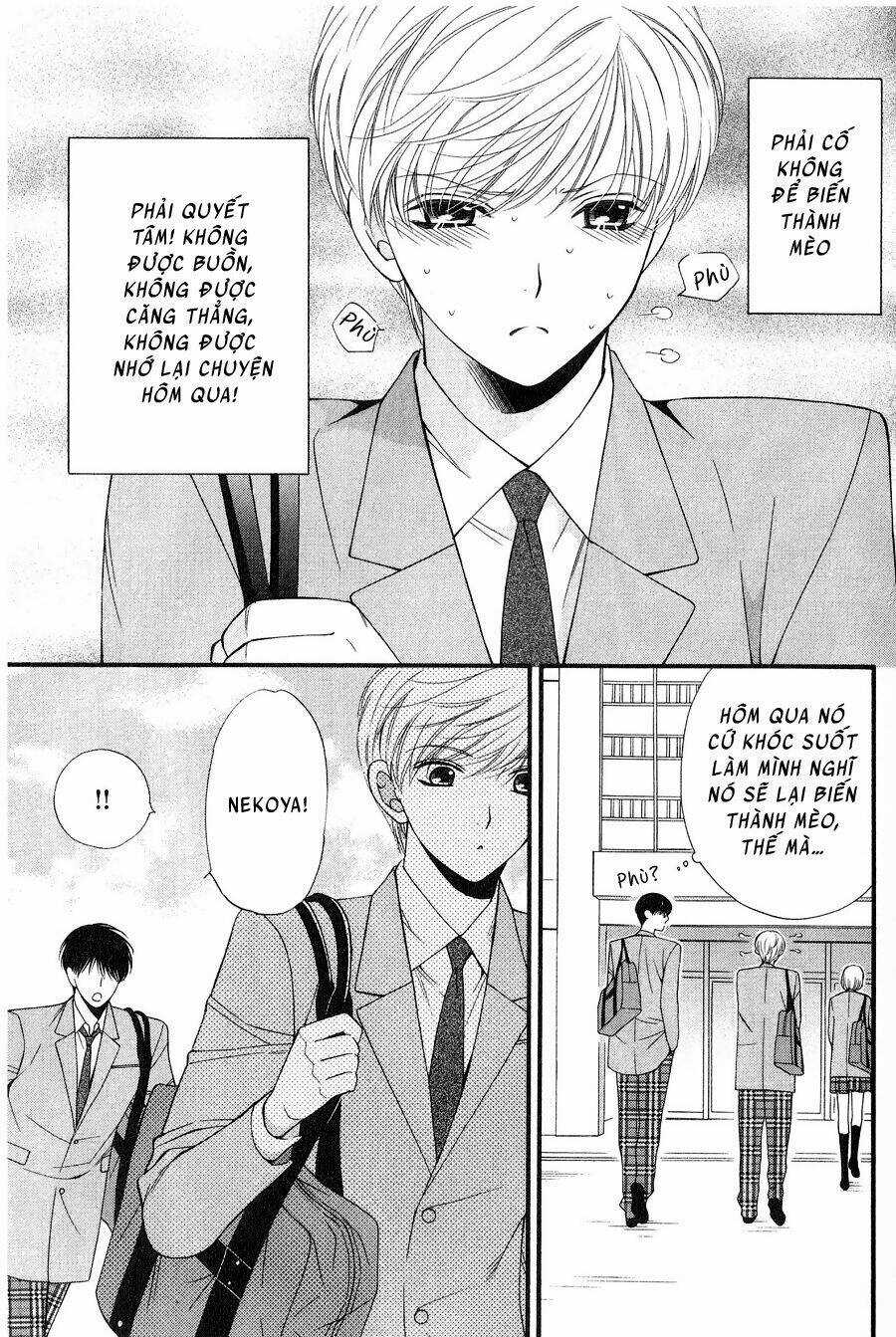 Neko Neko Honey Chapter 12 trang 4