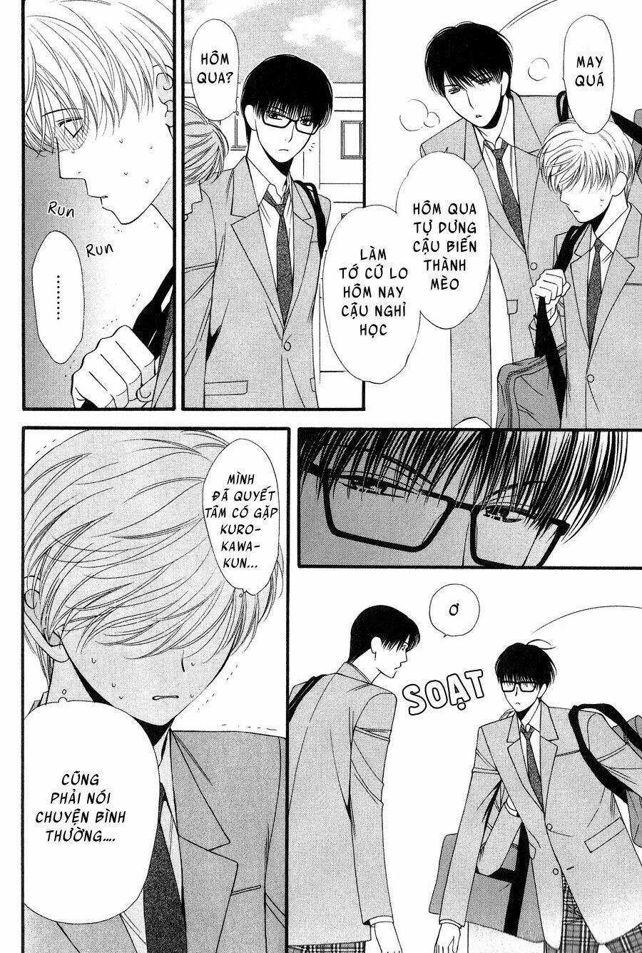 Neko Neko Honey Chapter 12 trang 5