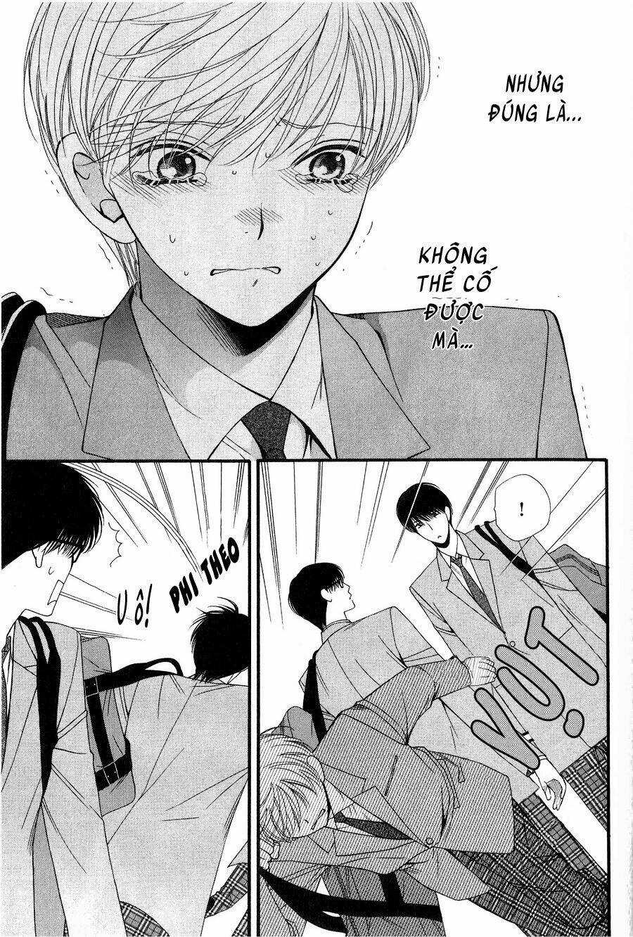 Neko Neko Honey Chapter 12 trang 6