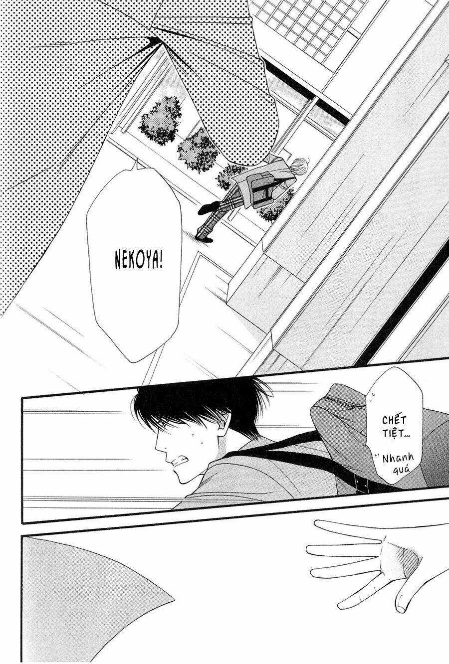 Neko Neko Honey Chapter 12 trang 7