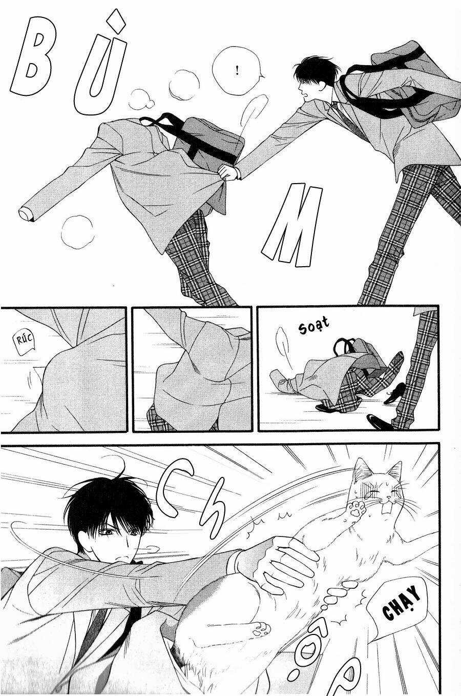 Neko Neko Honey Chapter 12 trang 8