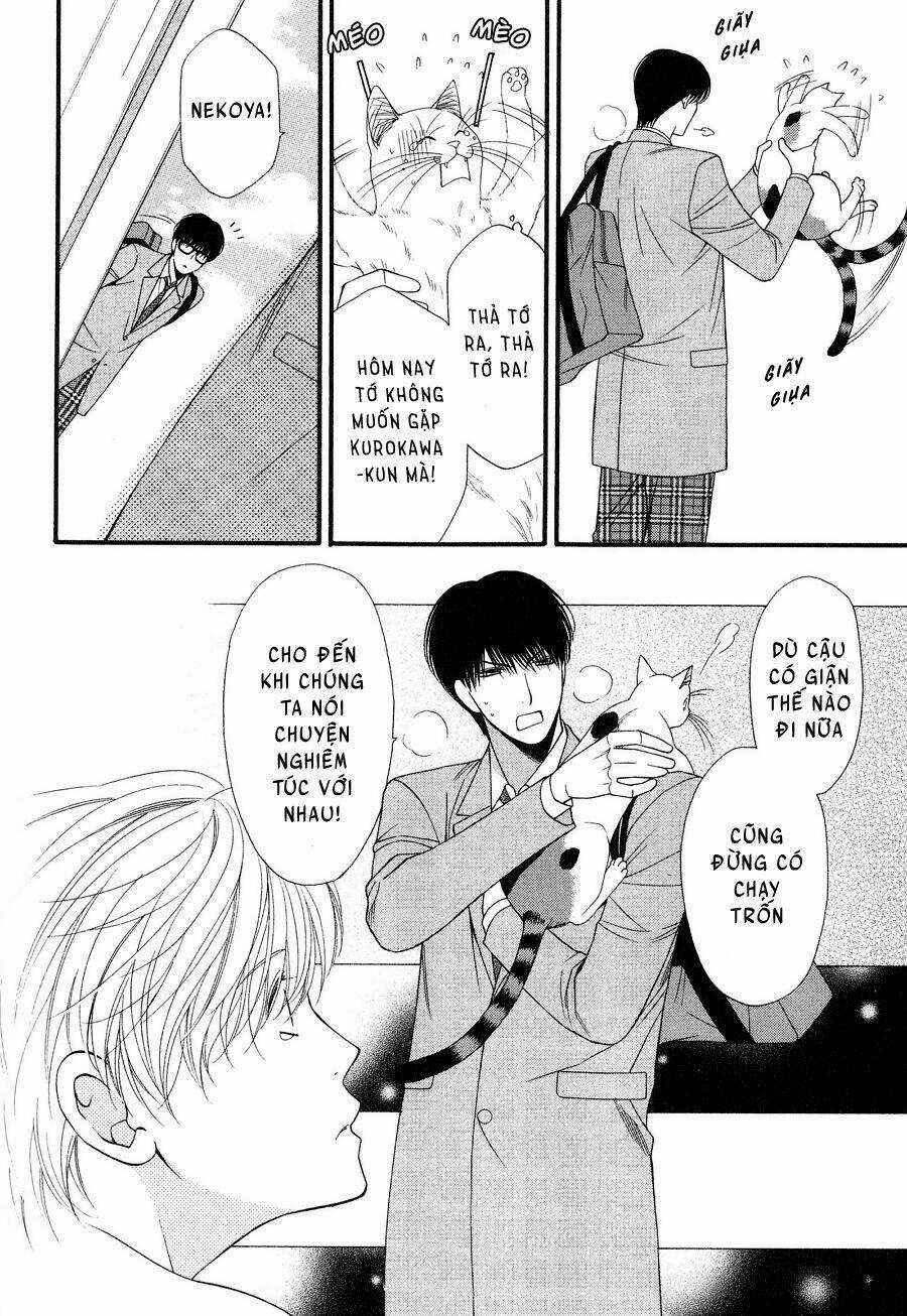 Neko Neko Honey Chapter 12 trang 9