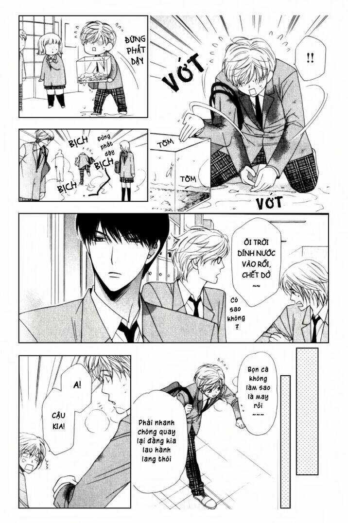 Neko Neko Honey Chapter 2 trang 12