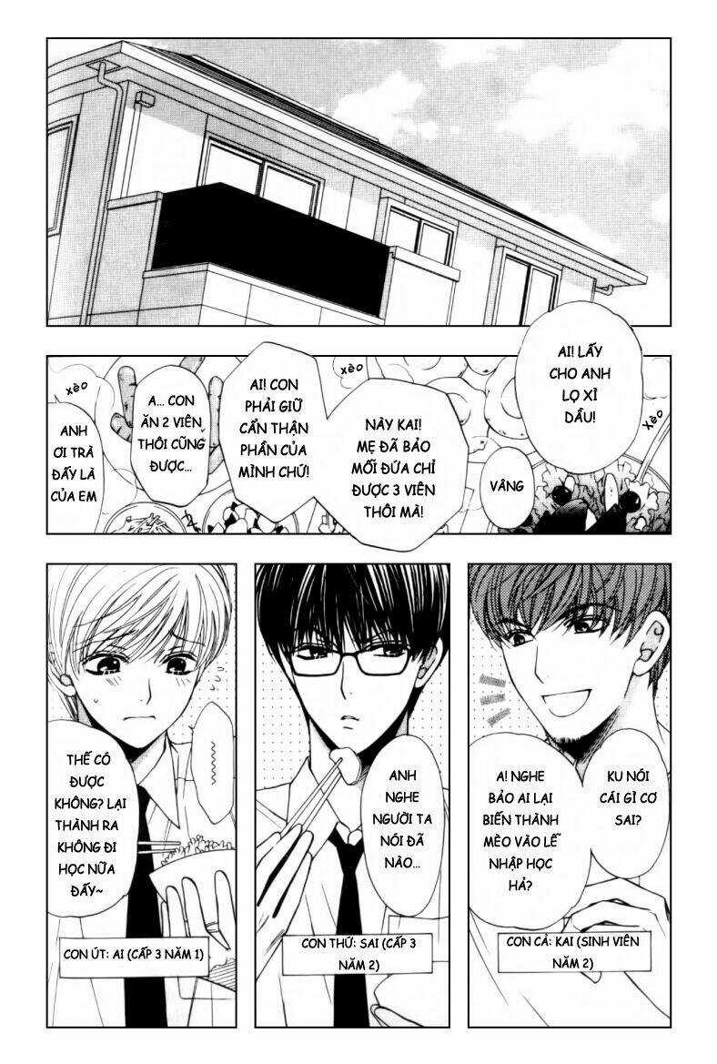 Neko Neko Honey Chapter 2 trang 2