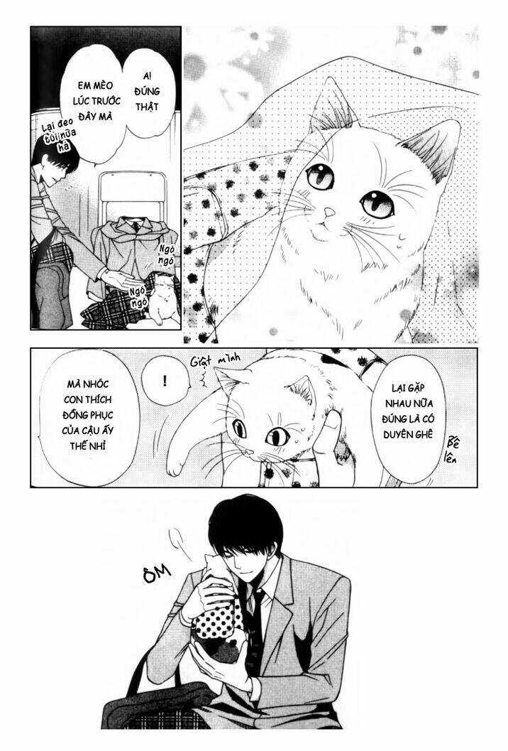 Neko Neko Honey Chapter 2 trang 22