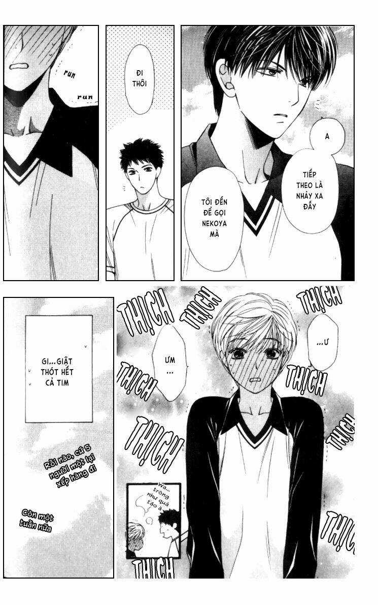 Neko Neko Honey Chapter 3 trang 16