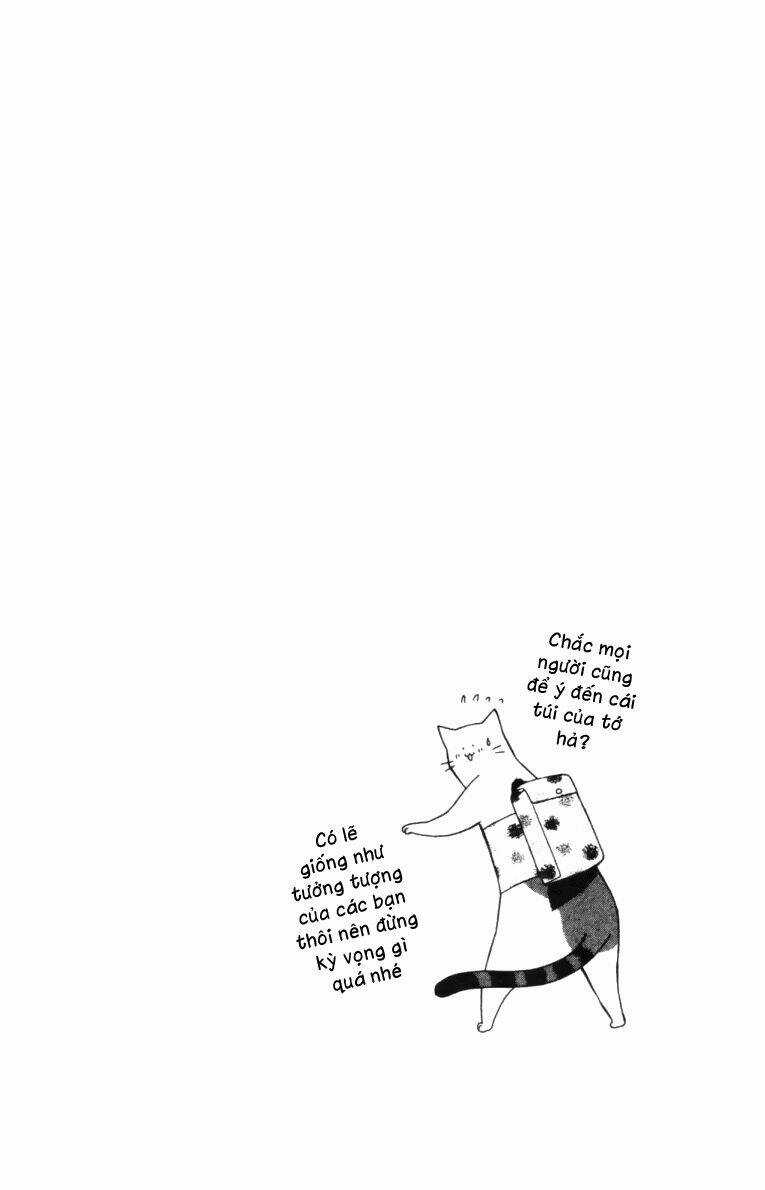 Neko Neko Honey Chapter 3 trang 2