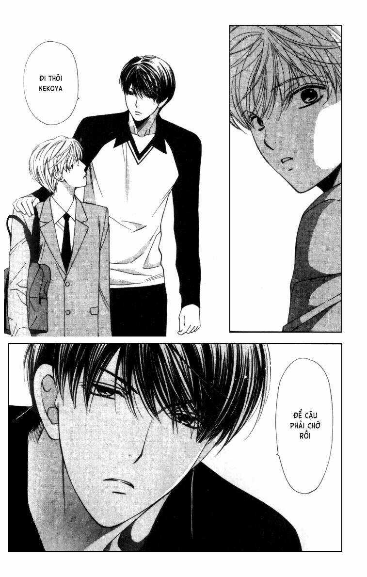 Neko Neko Honey Chapter 3 trang 26