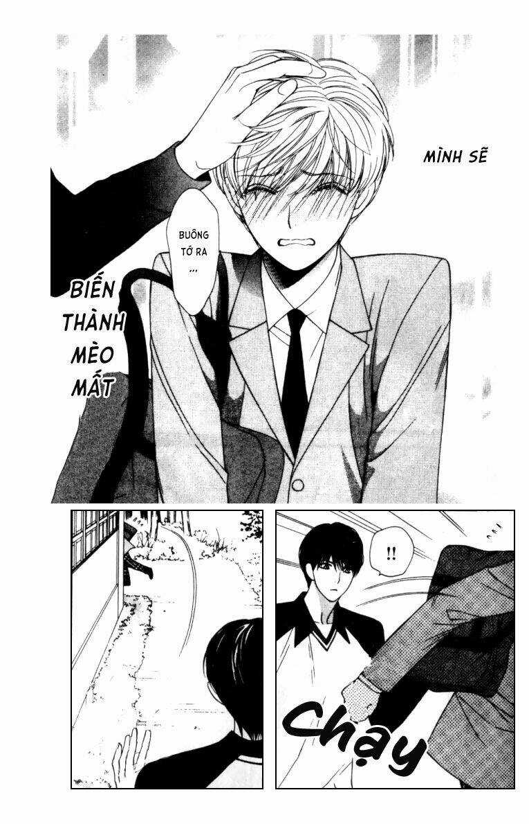 Neko Neko Honey Chapter 3 trang 31