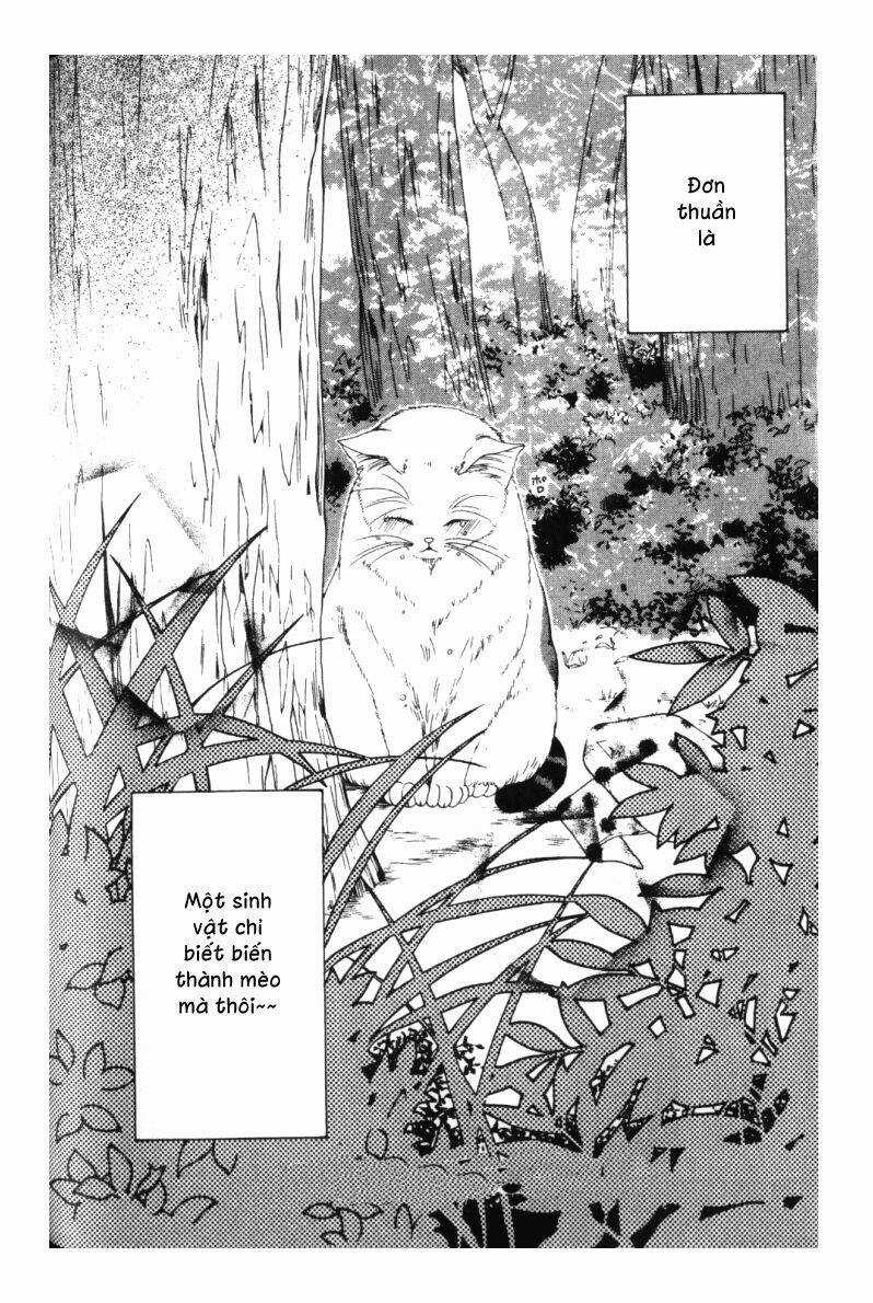 Neko Neko Honey Chapter 3 trang 34
