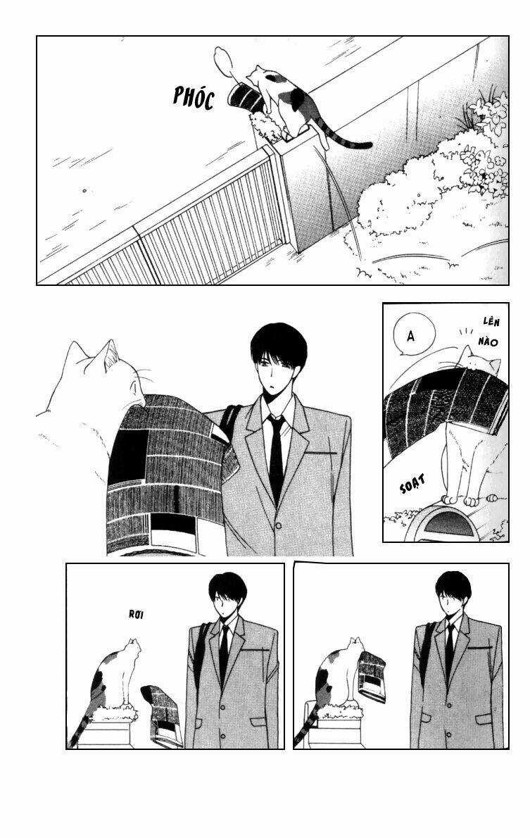 Neko Neko Honey Chapter 4 trang 17