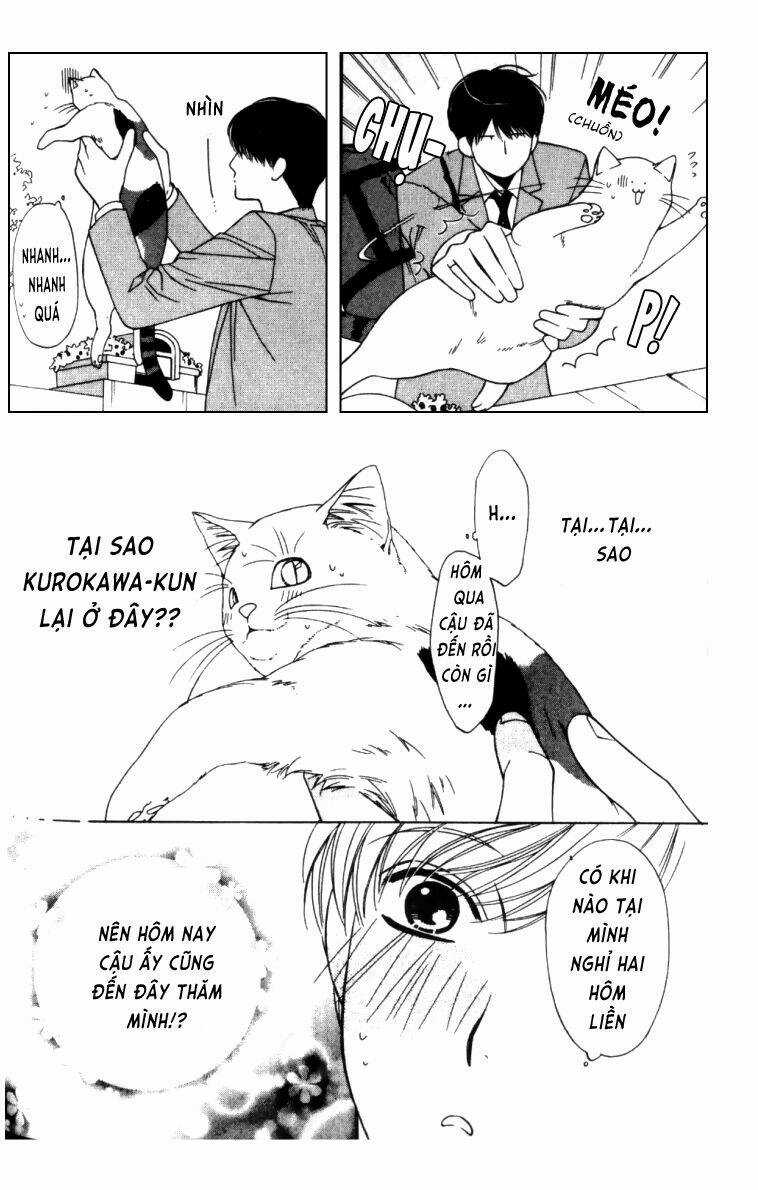 Neko Neko Honey Chapter 4 trang 18