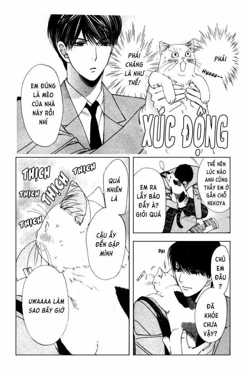 Neko Neko Honey Chapter 4 trang 19