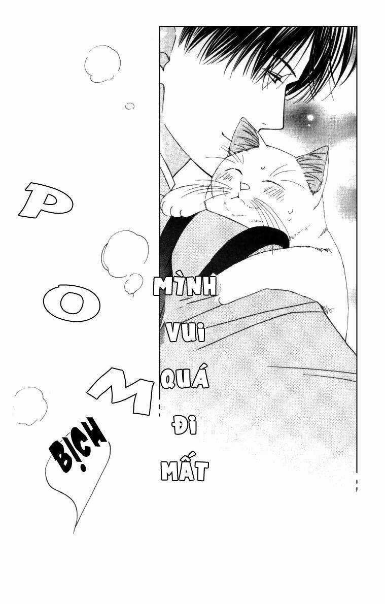 Neko Neko Honey Chapter 4 trang 20