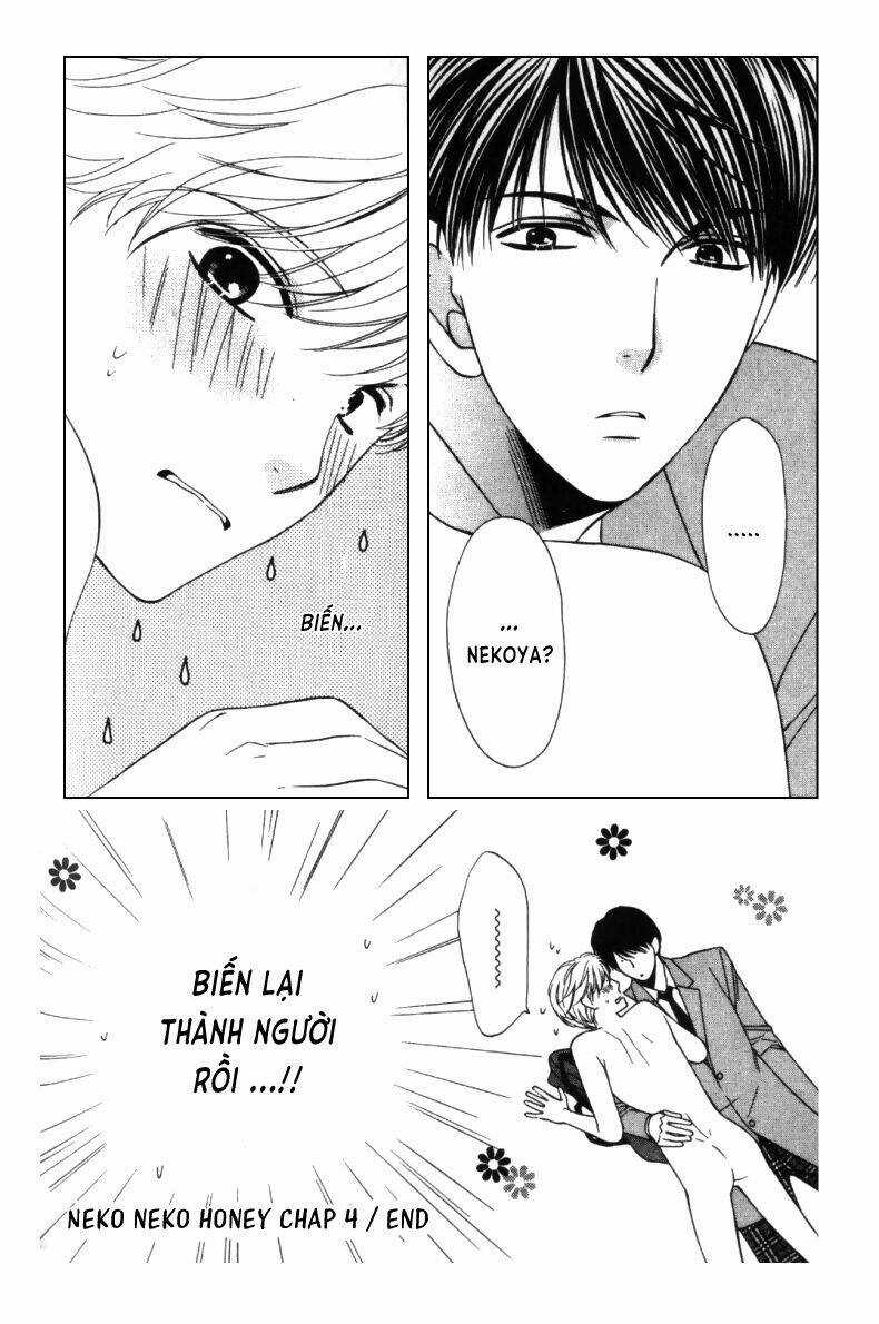 Neko Neko Honey Chapter 4 trang 22