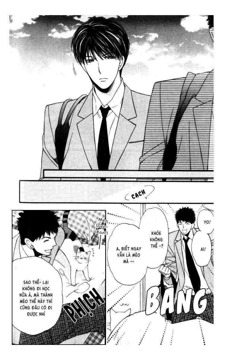 Neko Neko Honey Chapter 4 trang 4