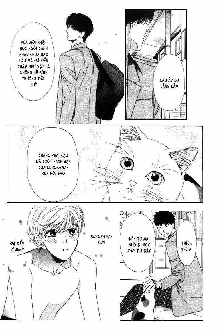 Neko Neko Honey Chapter 4 trang 6