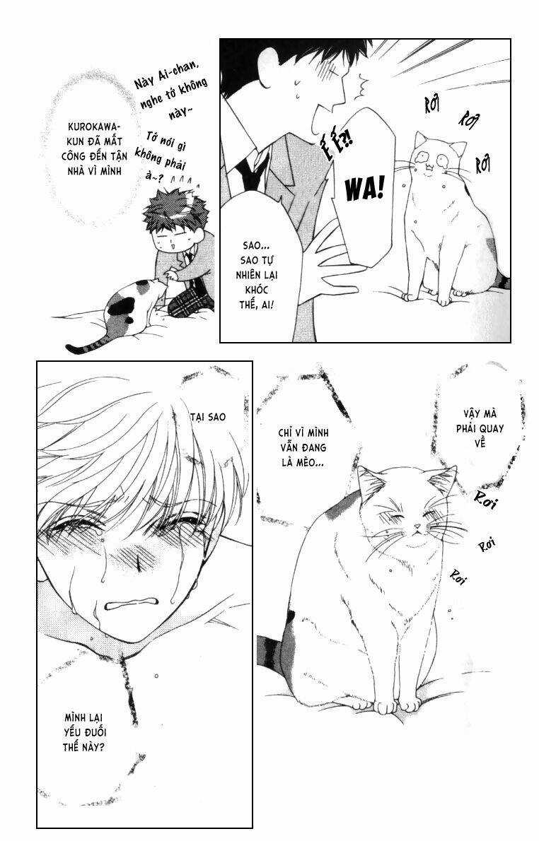 Neko Neko Honey Chapter 4 trang 7
