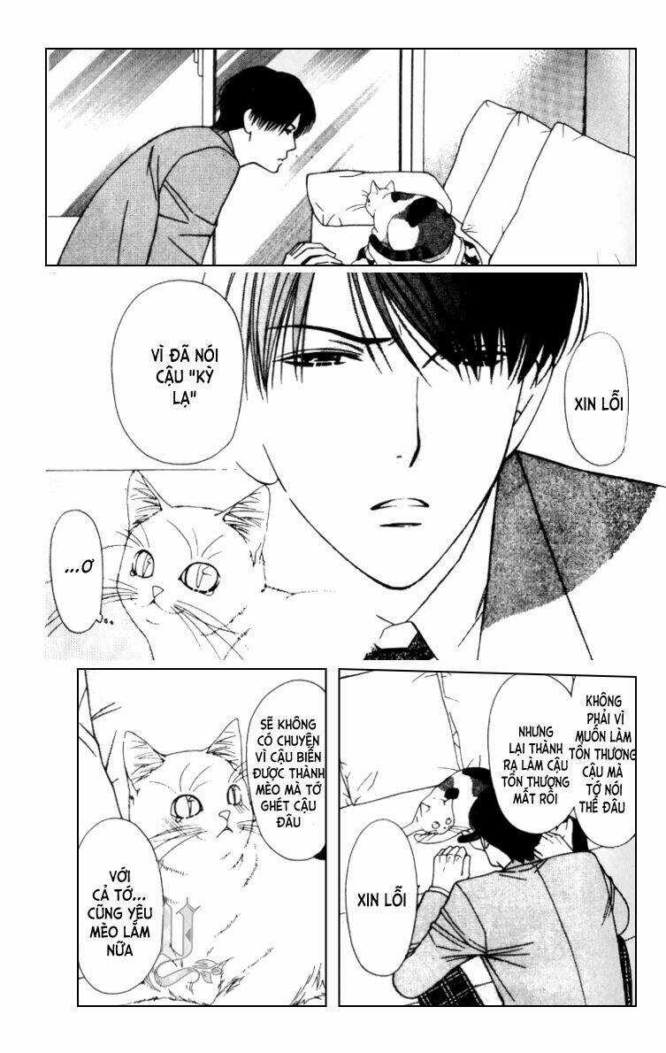 Neko Neko Honey Chapter 5 trang 11