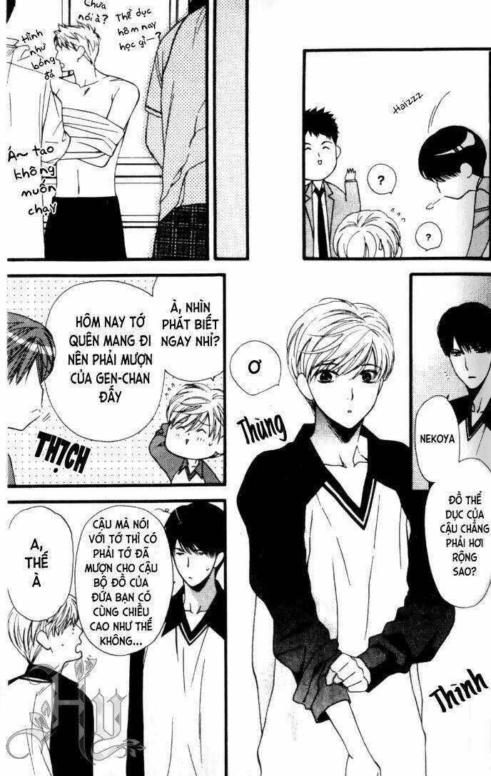 Neko Neko Honey Chapter 6 trang 11