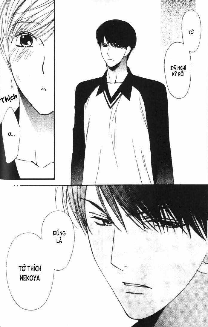 Neko Neko Honey Chapter 6 trang 14