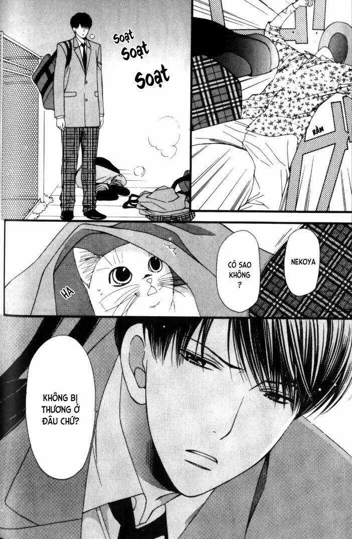 Neko Neko Honey Chapter 6 trang 25