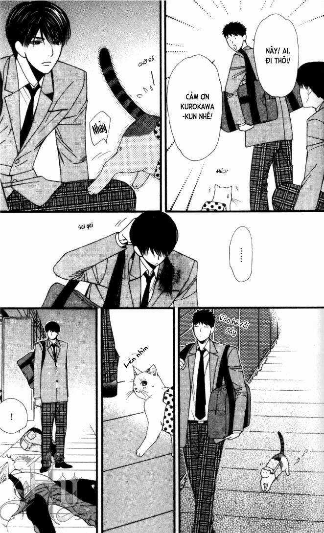 Neko Neko Honey Chapter 6 trang 28