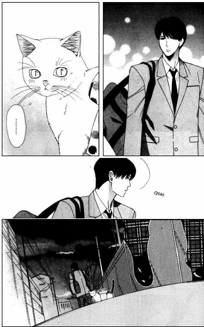 Neko Neko Honey Chapter 6 trang 29