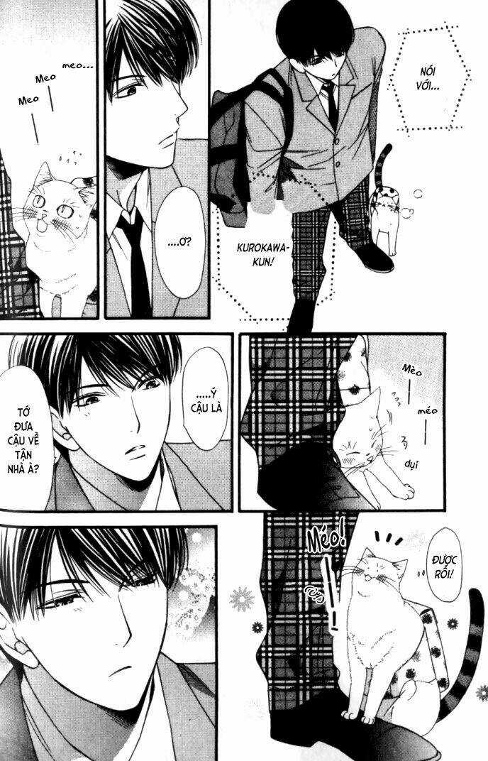 Neko Neko Honey Chapter 6 trang 31