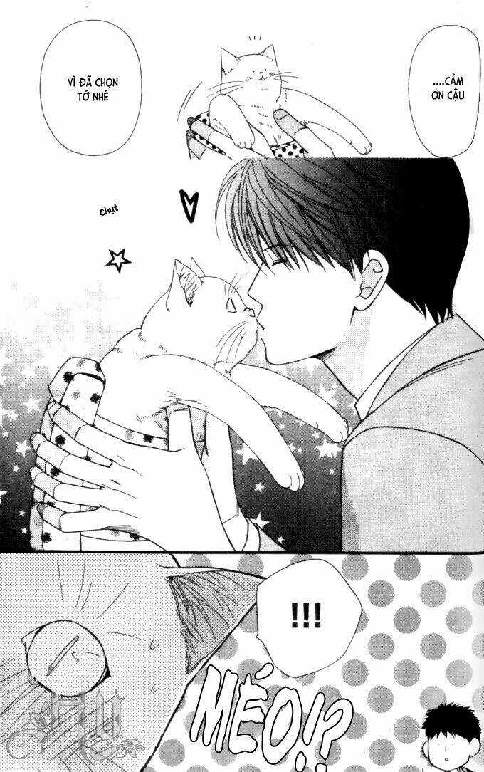 Neko Neko Honey Chapter 6 trang 32