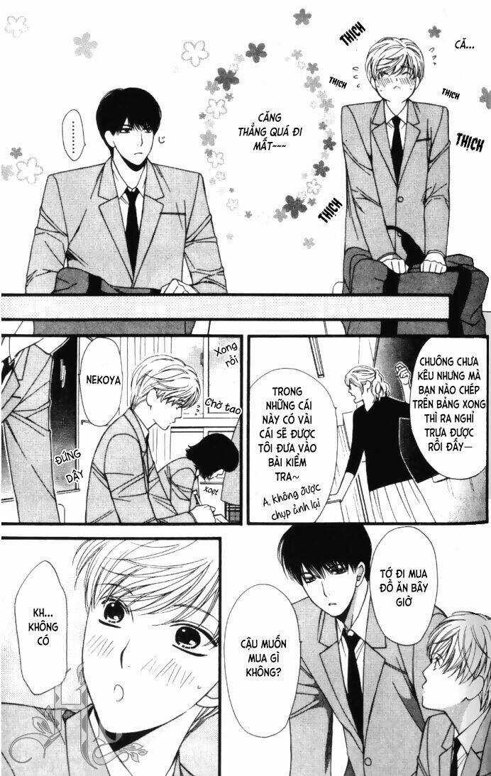 Neko Neko Honey Chapter 6 trang 7