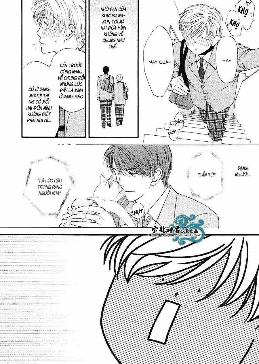 Neko Neko Honey Chapter 7 trang 14