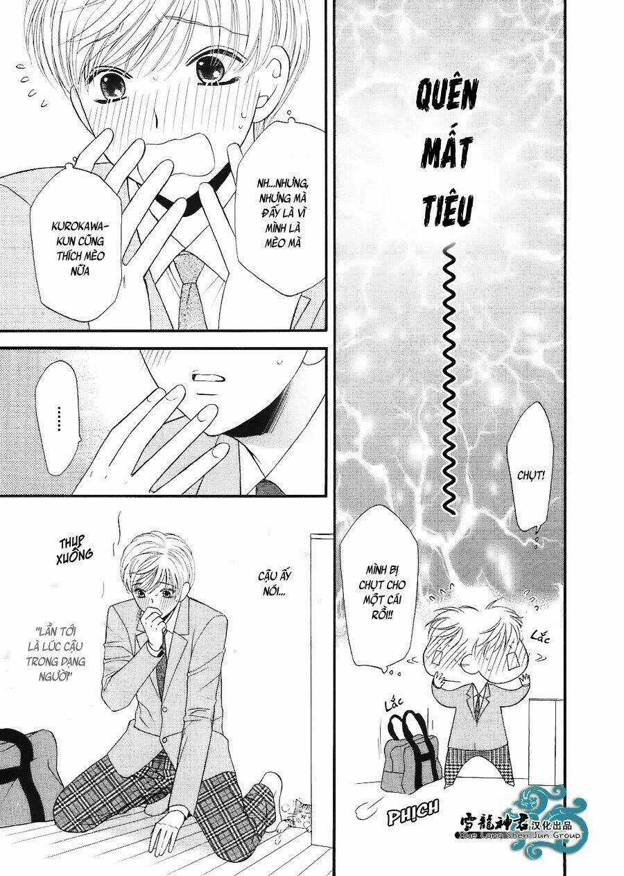 Neko Neko Honey Chapter 7 trang 15