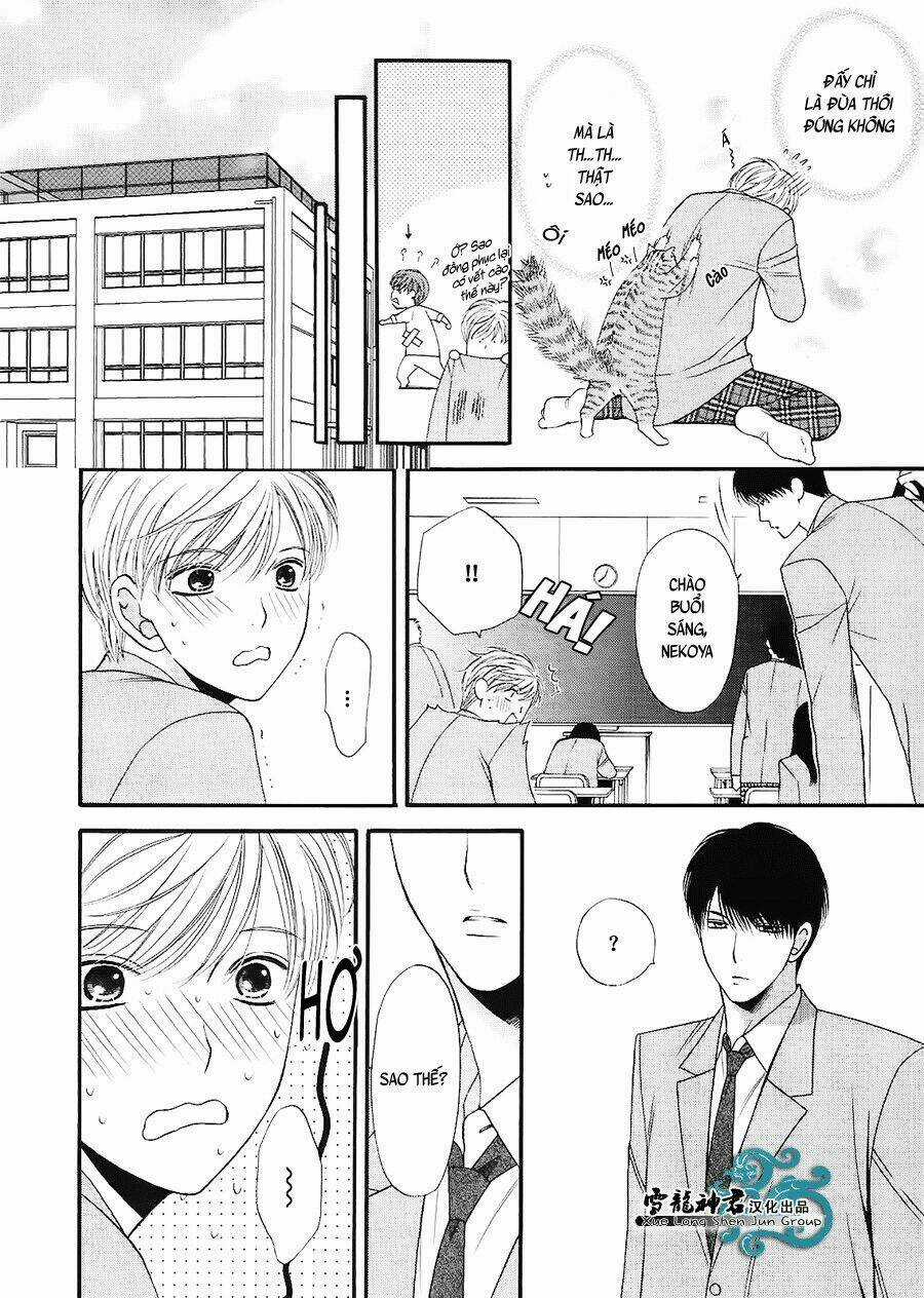Neko Neko Honey Chapter 7 trang 16