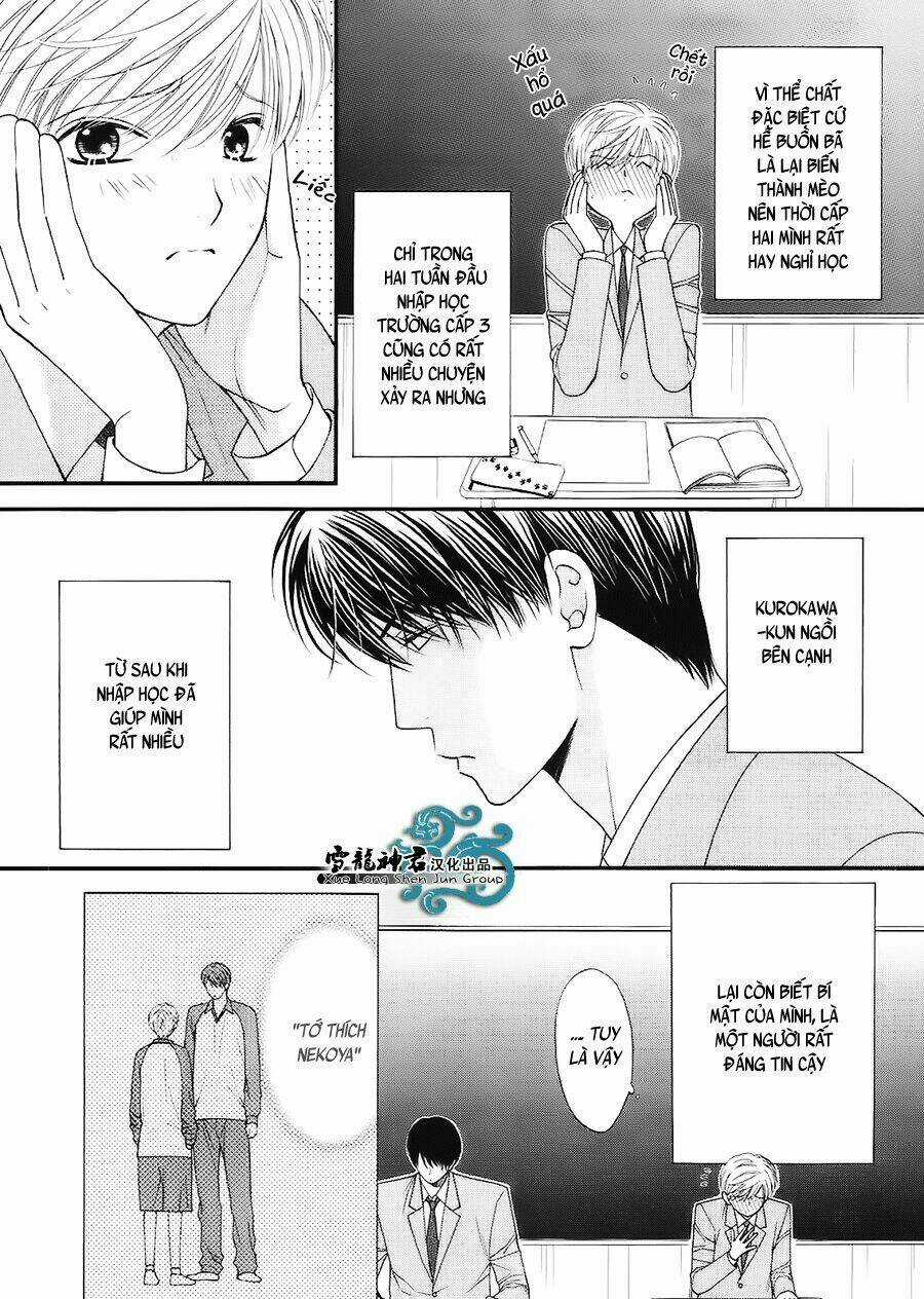 Neko Neko Honey Chapter 7 trang 5