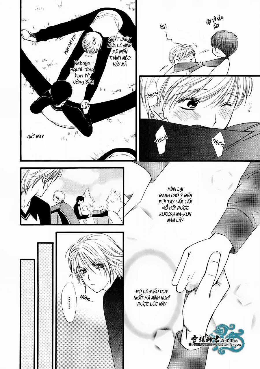 Neko Neko Honey Chapter 8 trang 10