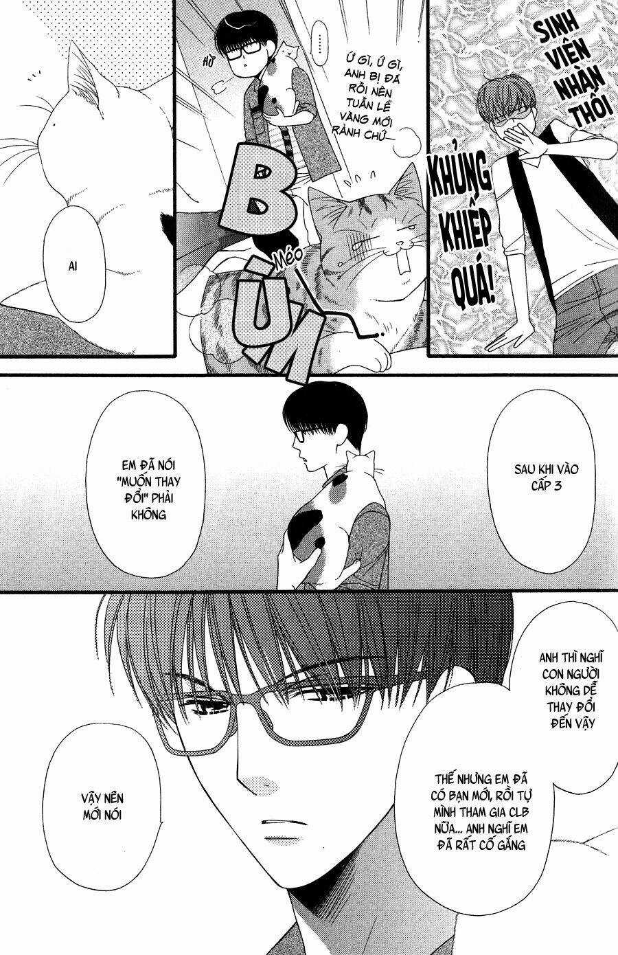 Neko Neko Honey Chapter 9 trang 15