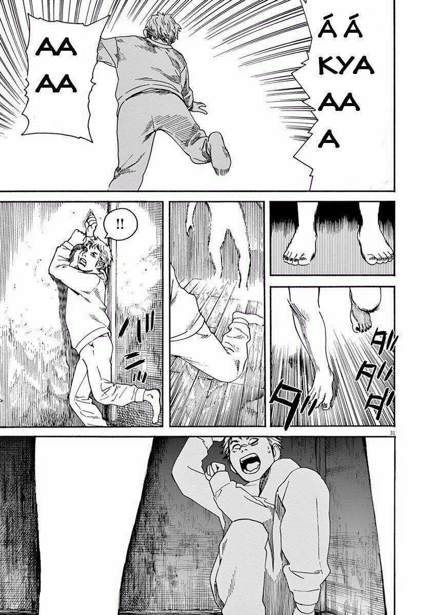 Neko No Otera No Chion-San Chapter 1 trang 31