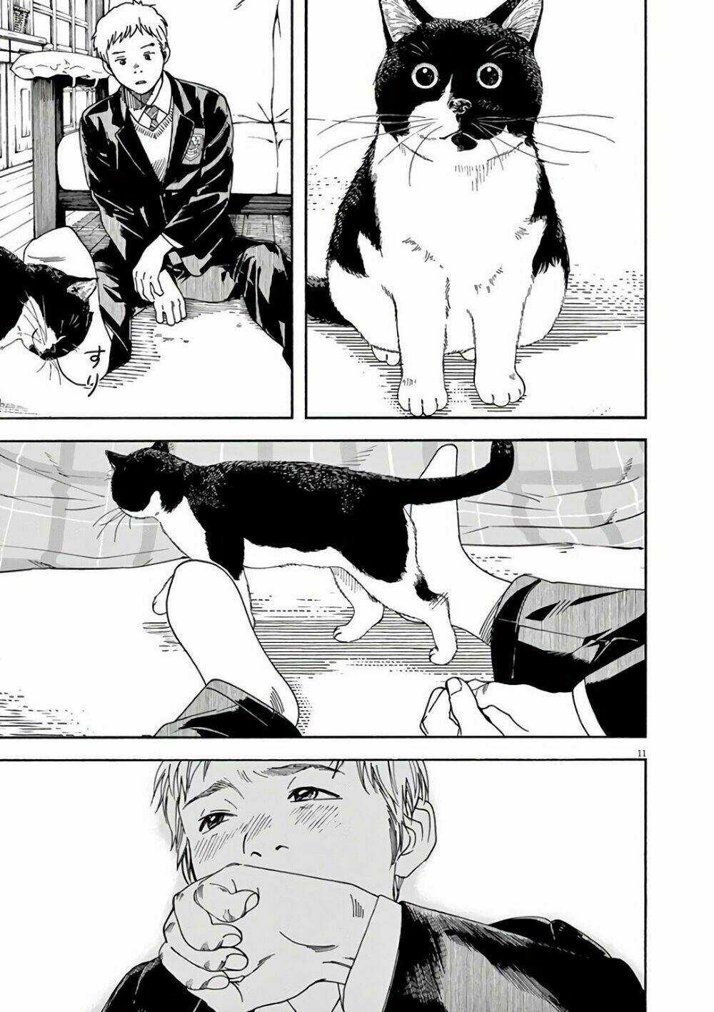 Neko No Otera No Chion-San Chapter 56 trang 11