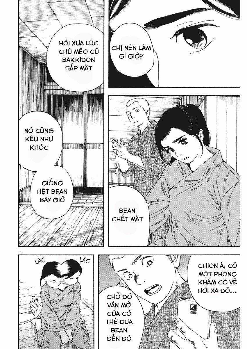 Neko No Otera No Chion-San Chapter 75 trang 12