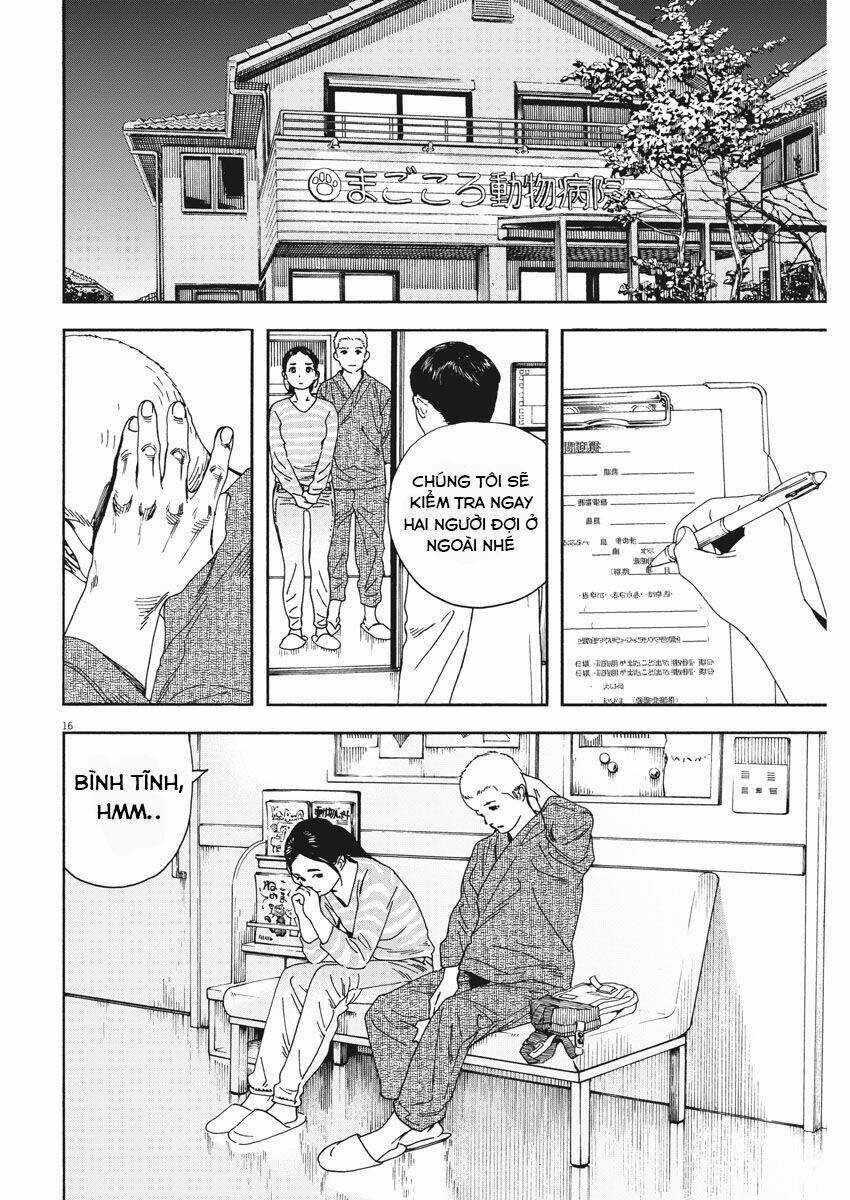 Neko No Otera No Chion-San Chapter 75 trang 16