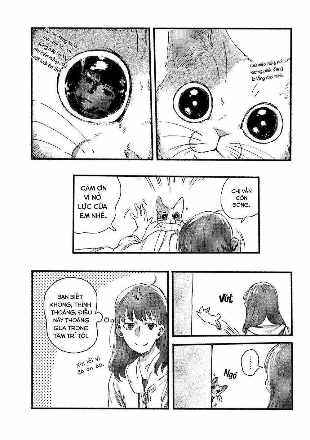 Nekodamari Chapter 4 trang 2