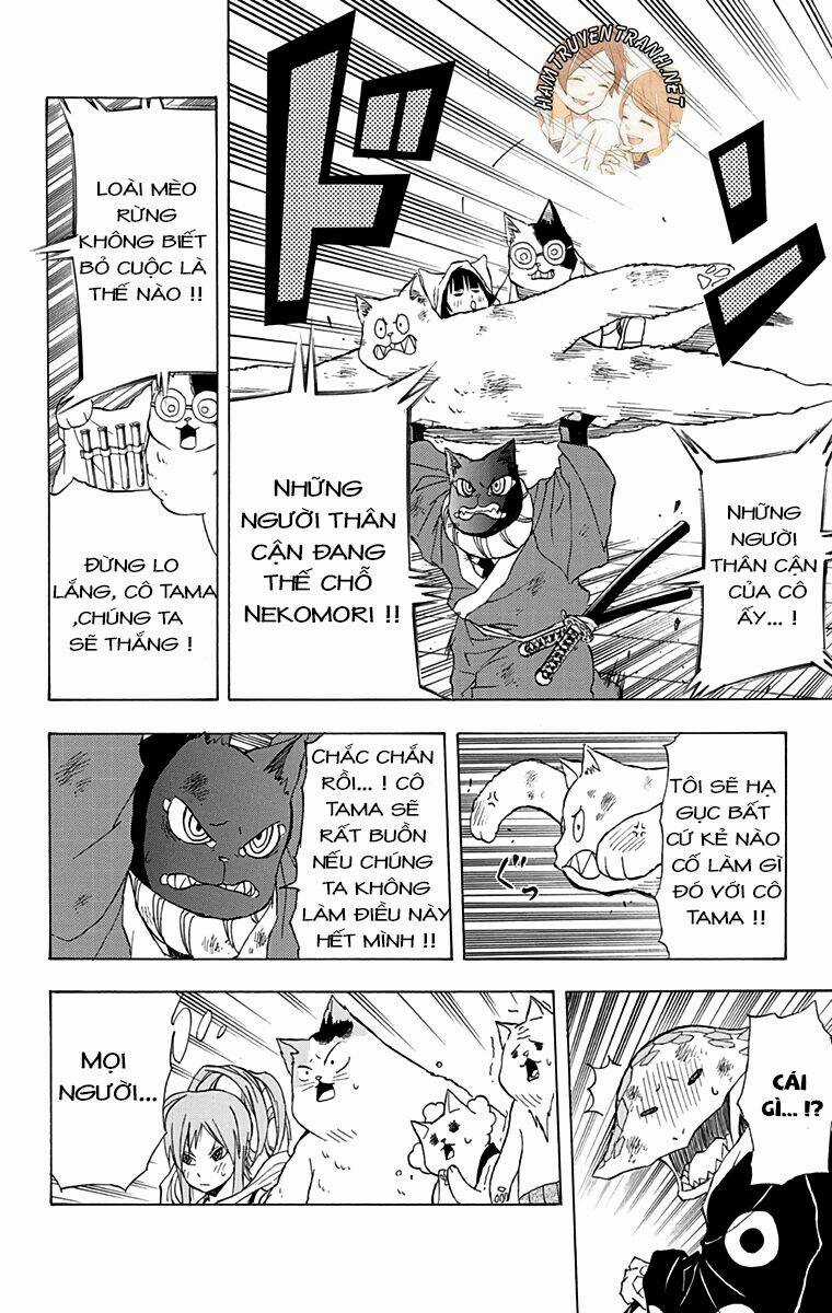 Nekowappa! Chapter 12 trang 12