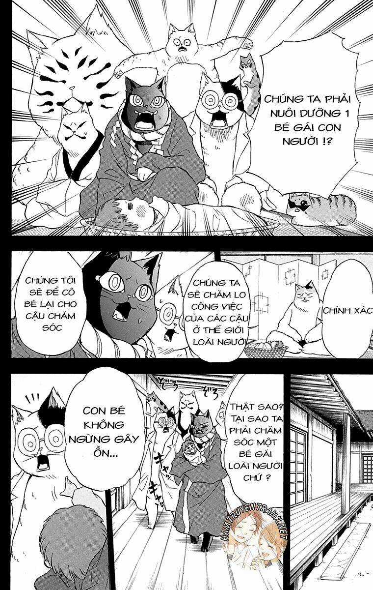 Nekowappa! Chapter 12 trang 14