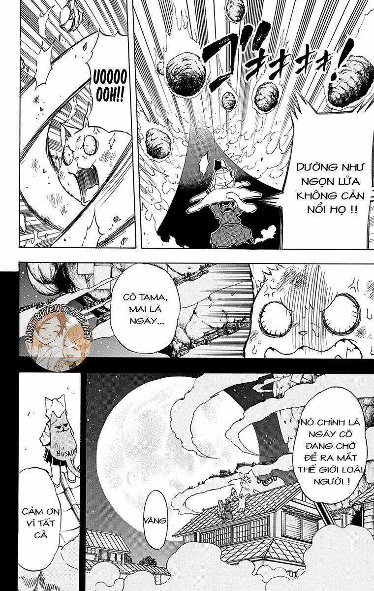 Nekowappa! Chapter 12 trang 16