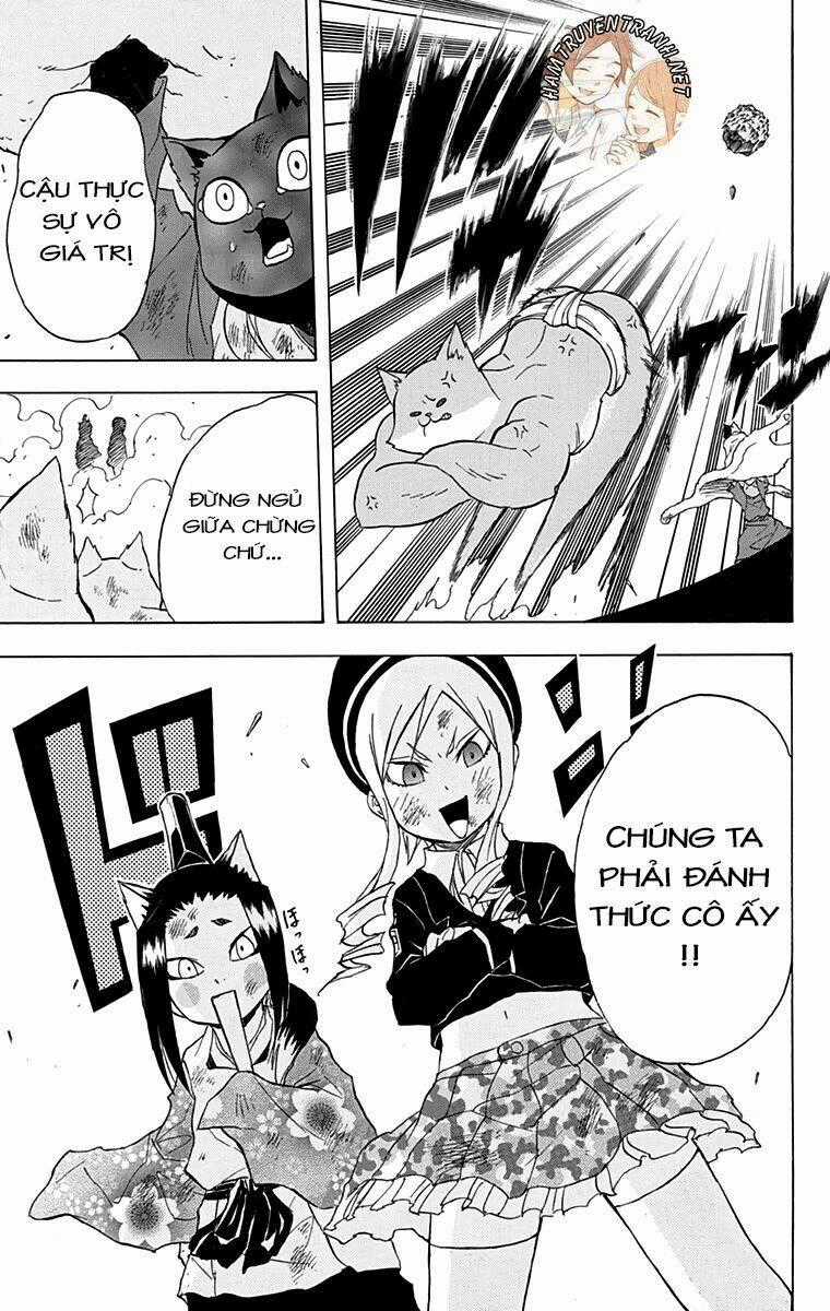 Nekowappa! Chapter 12 trang 19