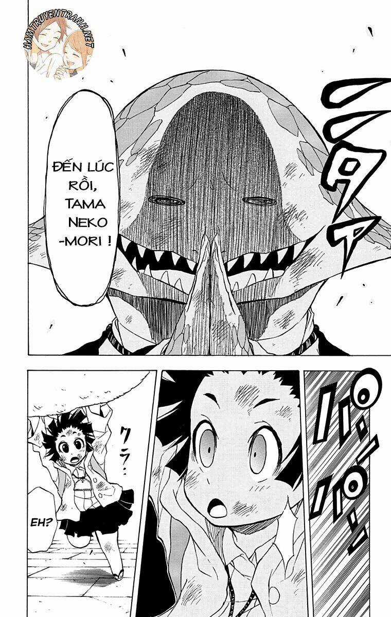 Nekowappa! Chapter 12 trang 8