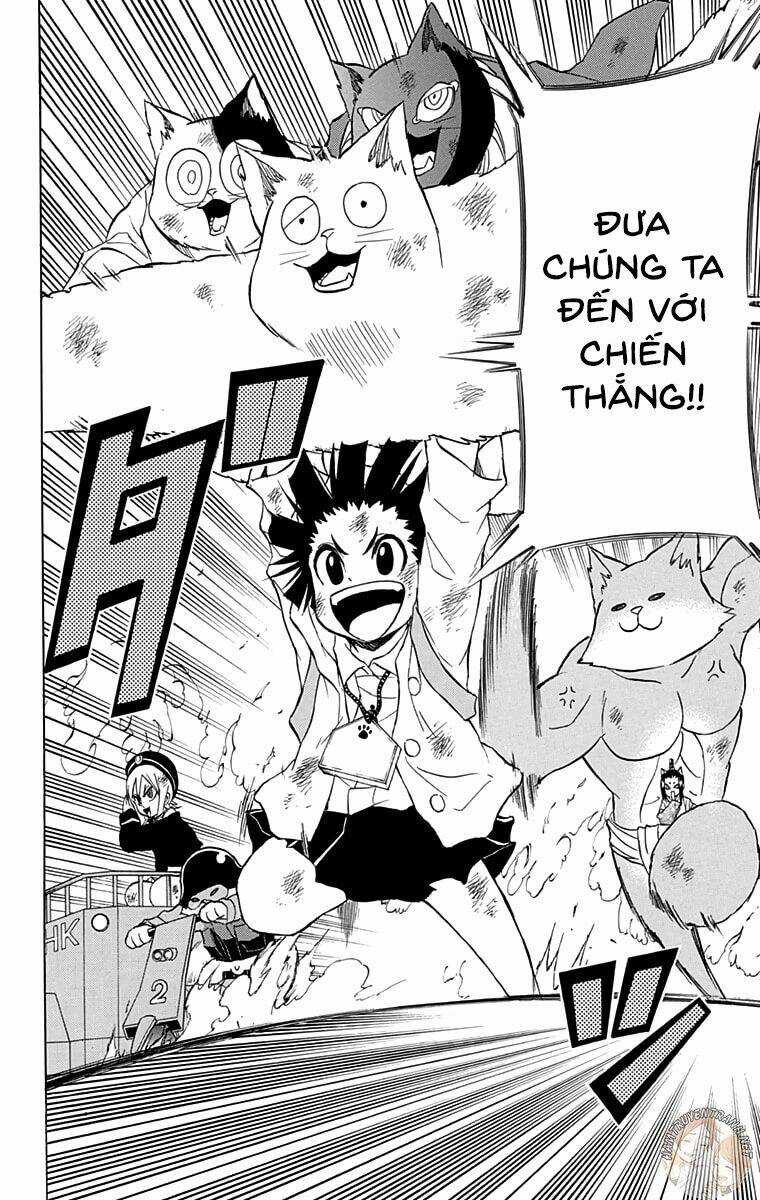 Nekowappa! Chapter 13 trang 10